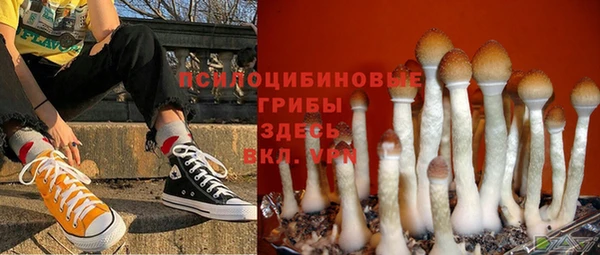 твердый Арсеньев