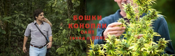 молекула духа Балахна