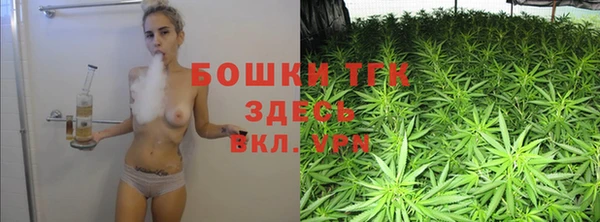 твердый Арсеньев